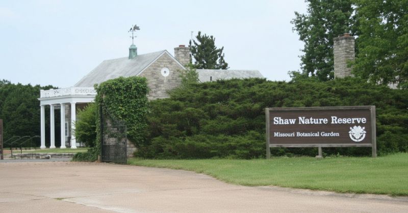 Best Shower Installation pros in Lees Summit, MO